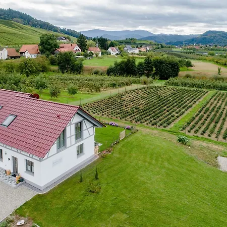Holiday home Binzighof Ferienhaeuser