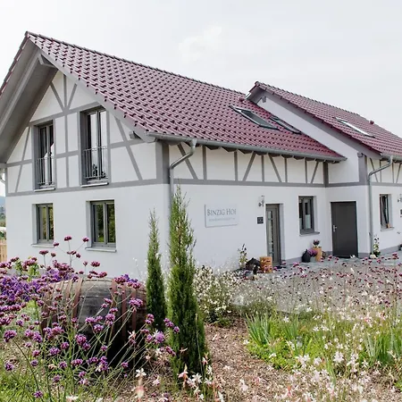 Binzighof Ferienhaeuser Vakantiehuis Oberkirch (Baden)
