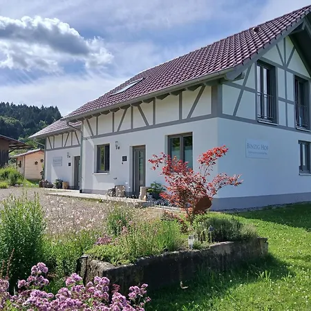Vakantiehuis Binzighof Ferienhaeuser