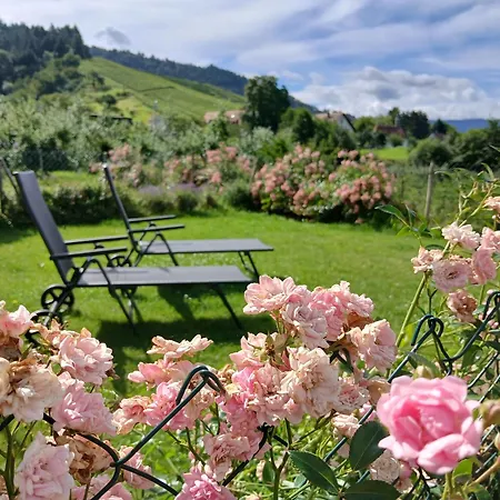 Binzighof Ferienhaeuser Holiday home Oberkirch (Baden)
