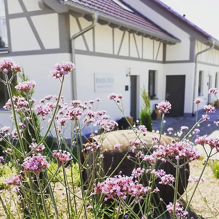 Binzighof Ferienhaeuser