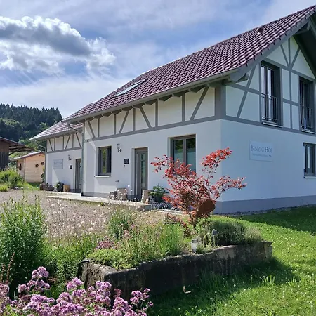 Hébergement de vacances Binzighof Ferienhaeuser