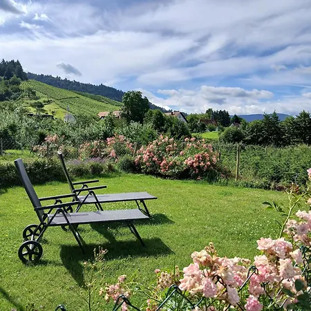 Binzighof Ferienhaeuser * Oberkirch (Baden)